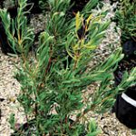article image - 